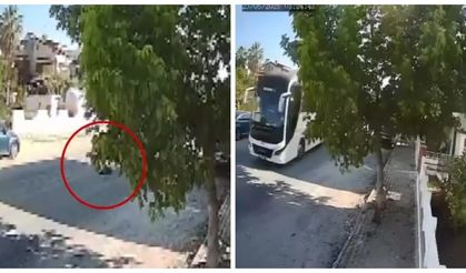 Sokakta yatan köpeği ezip yoluna devam etti