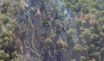 Aynı gün iki ayrı orman yangını: Ekiplerin hızlı müdahalesi felaketi önledi!