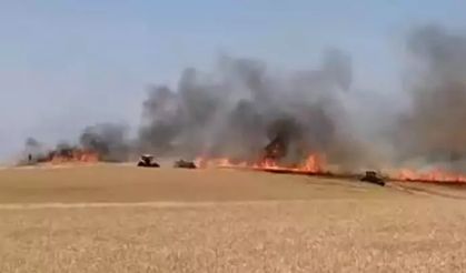 Buğday tarlasında yangın: 120 dönüm alan kül oldu