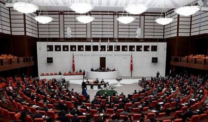 DEM Parti'de yeni dönem: TBMM’de temsil edecek isim belli oldu!