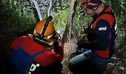 Kayıp olarak aranıyordu: Ormanlık alanda ölü bulundu!