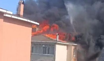 Korkutan yangın: Alevler mahalleliyi sokağa döktü!