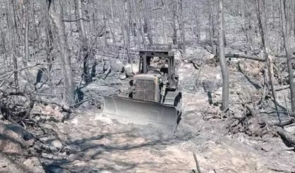 10 orman savaşçısının şehit olduğu alanın fotoğrafları ortaya çıktı...