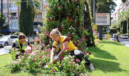 Aydın, kadınların emeğiyle çiçek açıyor