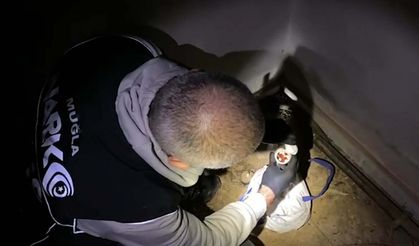 Narkotik ekiplerinden nefes kesen operasyon: Kilolarca yasaklı madde ele geçirildi!