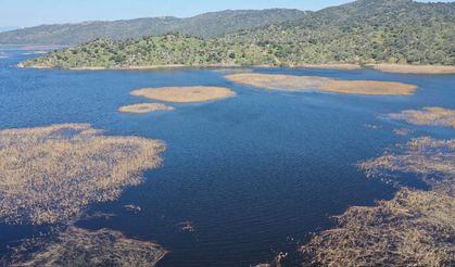 Azap Gölü kış yağışlarıyla yeniden doldu
