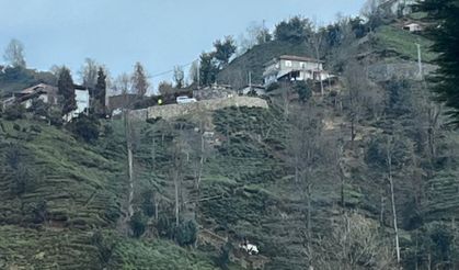 Direksiyon hakimiyetini kaybetti, 200 metrelik uçurum felaketi getirdi!