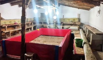 Yasa dışı horoz dövüşüne suçüstü: 23 kişiye ceza kesildi