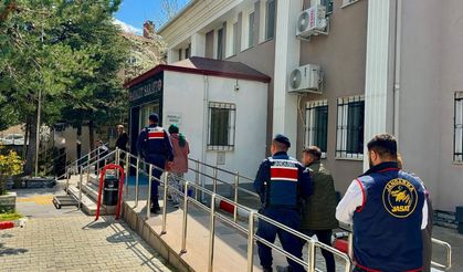 Canına kıydı denilen Alev Karagöz’ün katledildiği ortaya çıktı