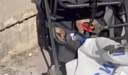 Piknikte korku dolu anlar! Ağaçtan düşen yılan bebek arabasına girdi