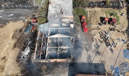 Atılan sigara izmariti felakete dönüştü: Ev ve 400 dönüm arazi yandı