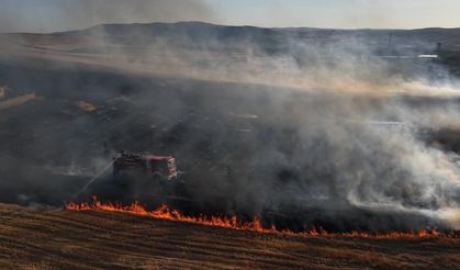 Bir izmarit, 400 dönümü kül etti!