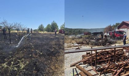İzmir’deki iki orman yangınının nedeni belli oldu: İki kişi gözaltına alındı