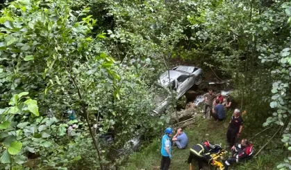 Kamyonet fındık bahçesine yuvarlandı: 1 ölü, 5 yaralı
