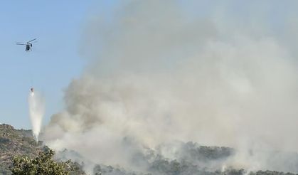 Uşak’ta korkutan orman yangını: Havadan ve karadan müdahale sürüyor