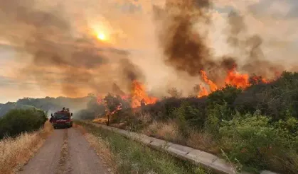 Çanakkale'de orman yangını alarmı! 3 gün boyunca bu faaliyetler yasaklandı