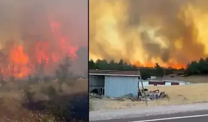Çanakkale’de orman yangını: Alevlere havadan ve karadan müdahale ediliyor