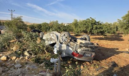 Feci kaza: Otomobil fıstık tarlasına uçtu, 1 kişi öldü, 6 kişi yaralandı