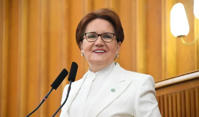 Meral Akşener Vakfı’nın amacı ve logosu belli oldu