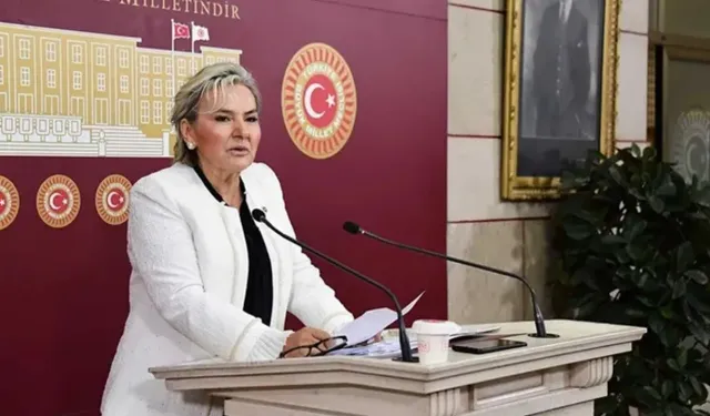 Rozetini Özgür Özel takmıştı! CHP İstanbul Milletvekili Nimet Özdemir istifa etti