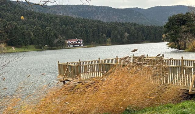 Tehlike Kapıda: Bolu’da Rüzgar Sert Esiyor!