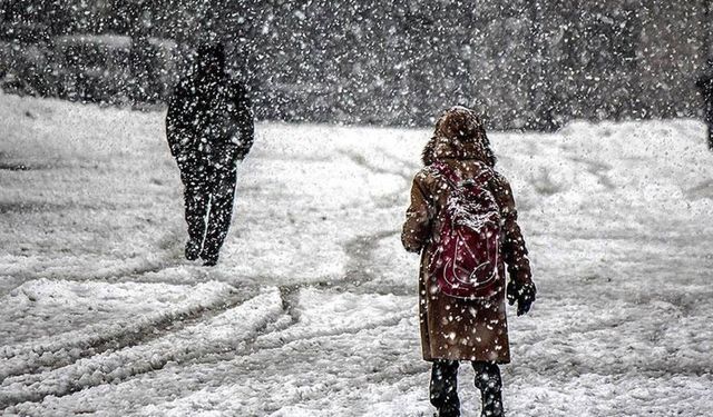 Eğitime kar engeli: O ilde okullar tatil edildi!