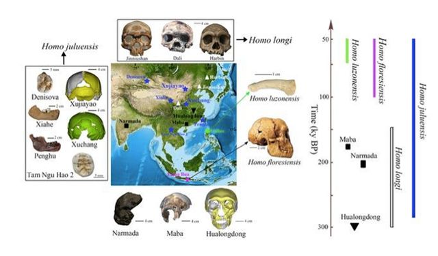 Yeni bir insan türü keşfedildi: Homo Juluensis