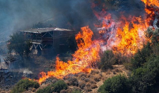 İzmir, orman yangınlarında Türkiye'nin en çok zarar gören ikinci ili oldu
