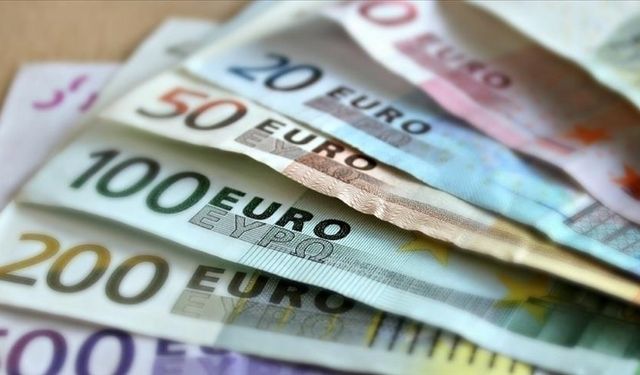 Euro/TL yeniden 44 TL'yi geçti