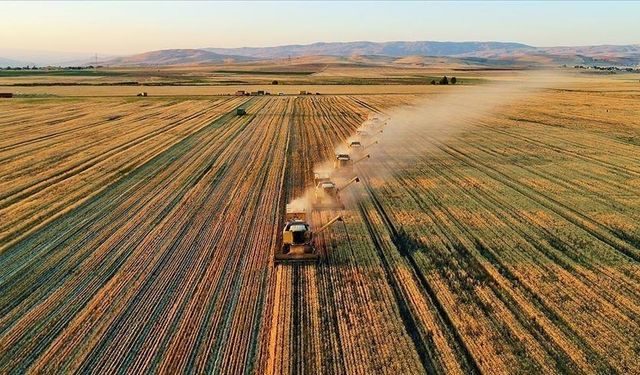 TÜİK açıkladı: Tarım ÜFE temmuzda aylık bazda yüzde 5,66 azaldı