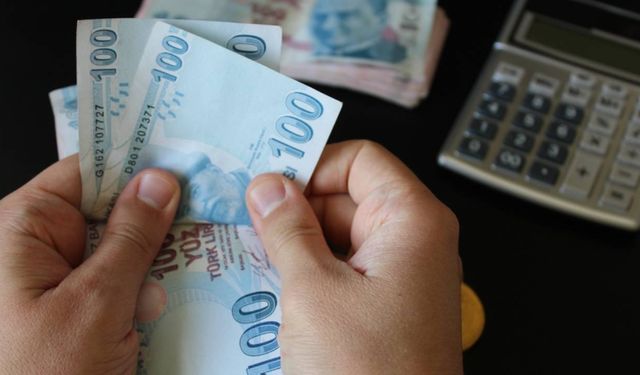 SED Mayıs ödemeleri yattı mı? SED ödemesi sorgulama ekranı
