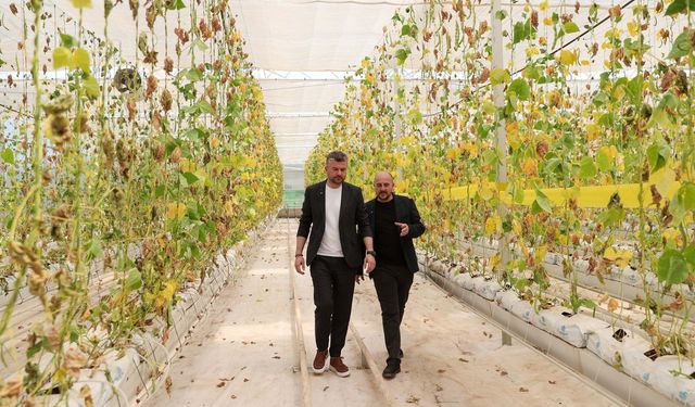 Buca Belediyesi'nin serasına saldırı: Üç Kent Lokantası'nın 6 aylık yemeği yok oldu
