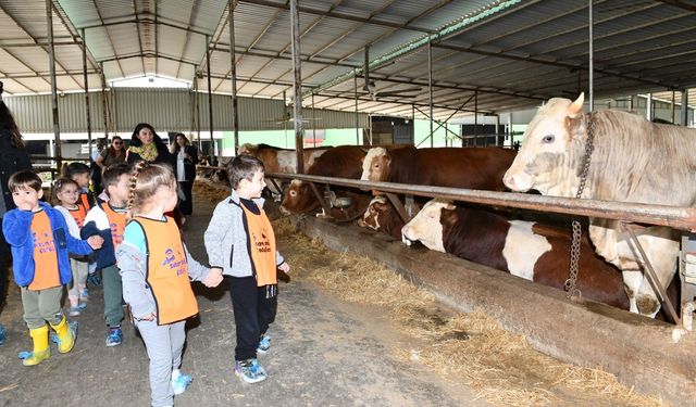 Çiğlili çocuklar, çiftlik hayvanlarıyla buluştu