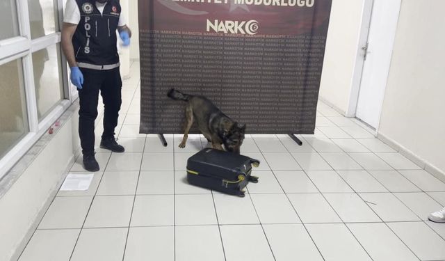 Hektor iz sürüp gerçeği ortaya çıkardı: Valizden kilolarca yasaklı madde ele geçirildi!