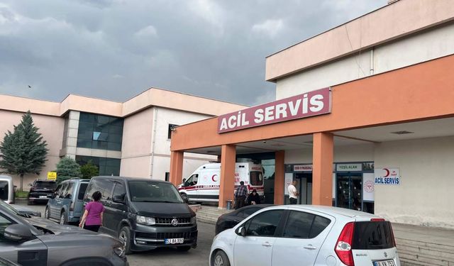 İki yengesini silahla vurarak öldürdü