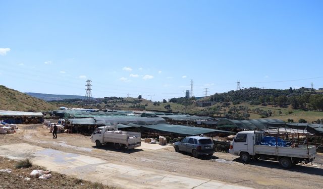Karabağlar'da kurban kesimi artık daha güvenli