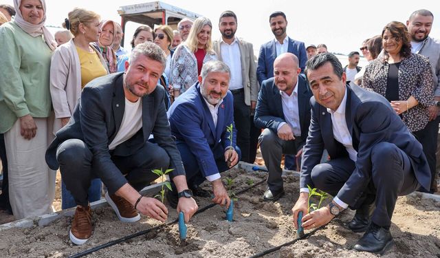 Bucalılar tek yürek oldu: Umut fideleri toprakla buluştu