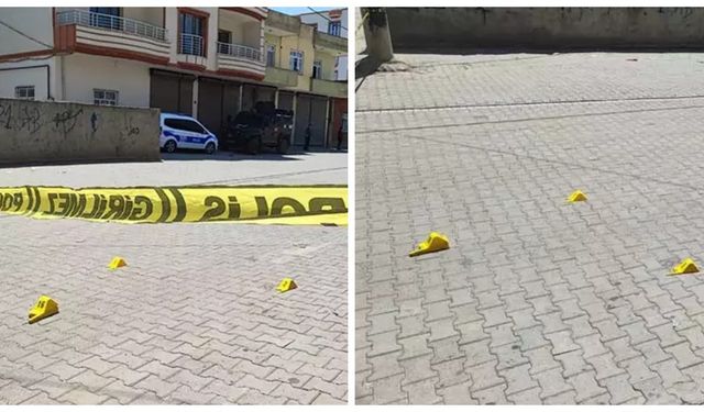Arazi kavgası kanlı bitti