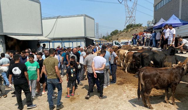 İzmirliler kurban kesim alanlarında yoğunluk oluşturdu