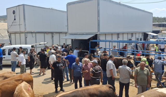 İzmir'de kurban kesimleri güvenli ellerle yapıldı