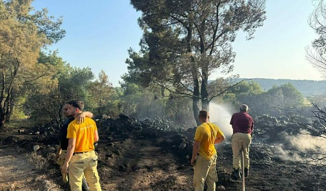 İzmir'de orman yangını: Yangına neden olan mangalcı tutuklandı!