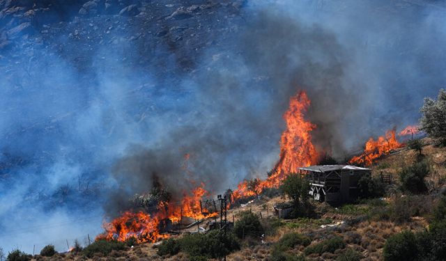 İzmir’de orman yangınları korkuttu: Facianın eşiğinden dönüldü