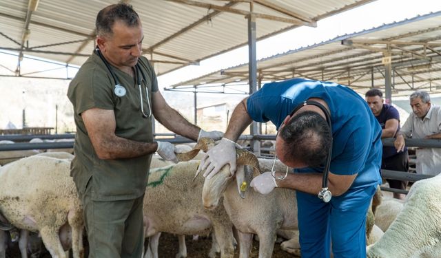Karşıyaka'da Kurban Bayramı için tüm hazırlıklar yapıldı