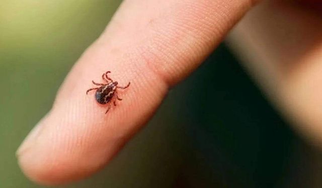 Şüpheli KKKA vakası can aldı: 1 ölü