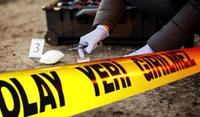 Komşu kavgası kana bulandı: Tarlaya giren koyunlar can aldı, 6 yaralı!
