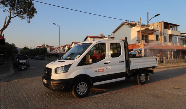Menderes'te ilaçlama seferberliği başladı