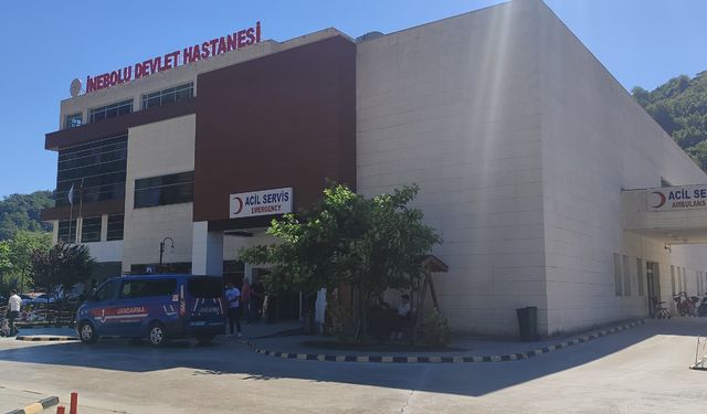 Üzüm yaprağı toplarken dengesini kaybeden kadın yaşamını yitirdi