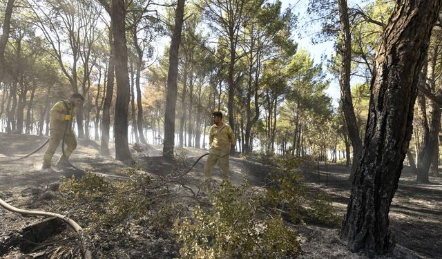 Buca’daki orman yangınında havadan çekilen görüntüler yürek yaktı