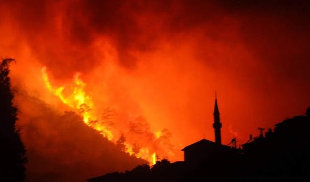 İzmir Ödemiş yangınında yatalak hasta yanarak hayatını kaybetti!