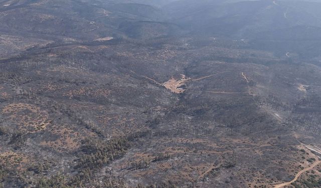 SON DAKİKA | Bursa'daki orman yangını, 5. gününde kontrol altına alındı